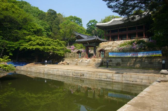 ドラマ（チャングムの誓い）では、ストーリーの最後の方で、<br />王様の具合を案じたチャングムが　王様とお散歩をなさるシーンがありました。<br /><br />ガイドツアーは、ここで　ちょっと休憩がありました。<br />ここに売店があり、お土産ものをちょっと買いました。<br /><br />（ここの売店は国営だから　他より安いよ！）と売店の叔母さんが言っていて、つい、（そうか）と思って買いましたが、<br />仁寺洞の方が安かったです。（ドンマイ！）