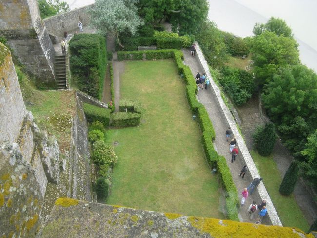 芝がきれいです。