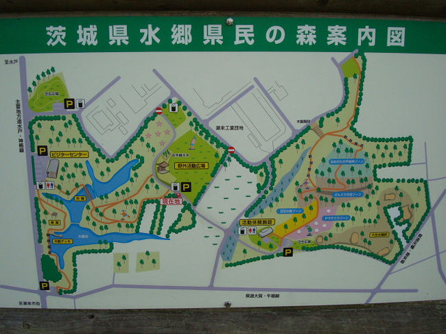 秋を探して 11 1 水郷県民の森編 潮来 茨城県 の旅行記 ブログ By 潮来メジロさん フォートラベル