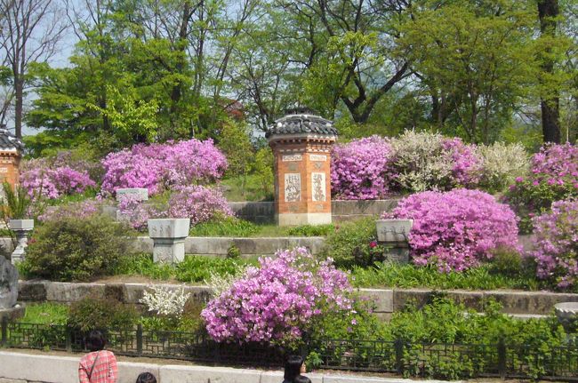 4月に来て良かった！凄く綺麗です。<br />オンドルの煙突が庭にもあります。