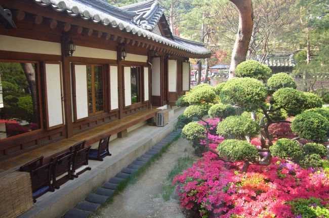 食事の後は　お庭をゆっくりと散策できます。