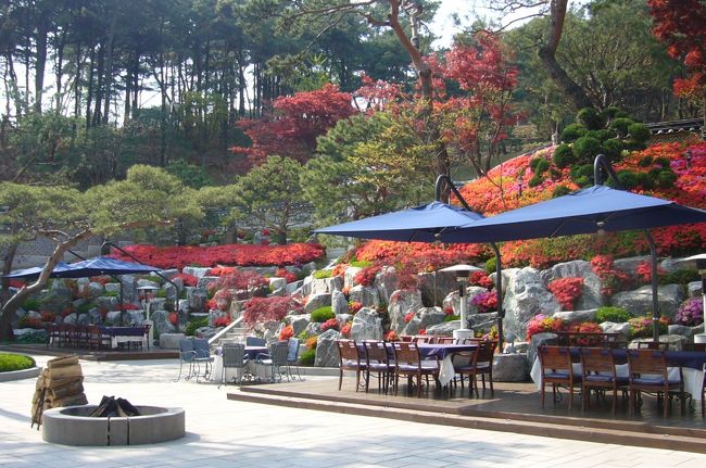 ガーデンパーティができるスペースもありました。