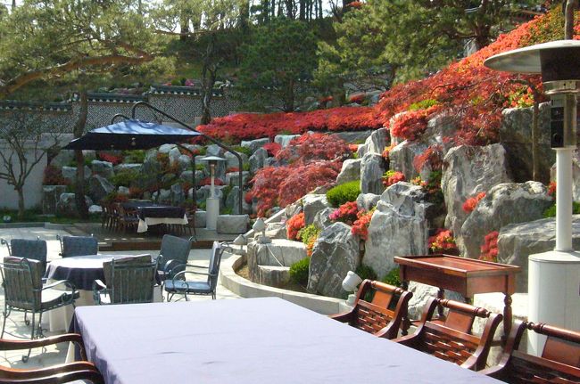 とても綺麗な場所でした。<br />こちらは漢川の南でそうる市内地図の南のはじです。<br /><br />タクシーで狎鴎亭（アックジョン）のロデオストリートへ<br />向かってもらいます。<br /><br />三成のCOEXモールとか、ガイドブックで見た場所を通過していきます。道路が広くて　交通量も多く、この辺りは新しい韓国の<br />ビジネス街。銀座、青山、六本木という雰囲気の町です。<br />