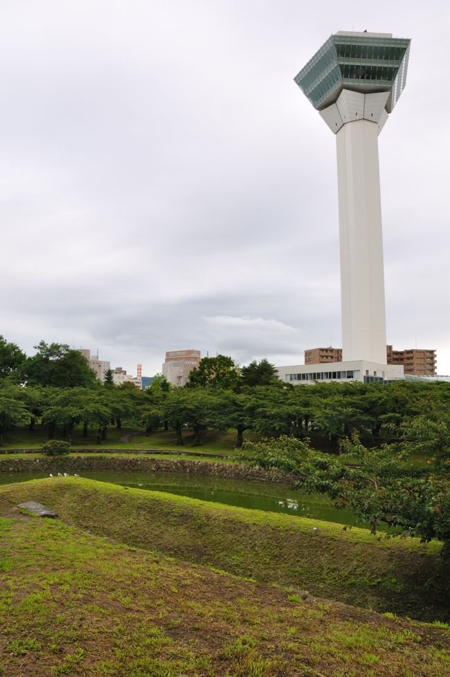五稜郭にて、弁天岬砲台から望む五稜郭タワー。<br /><br />五稜郭が星型五角形の理由。<br />デザイン的に優れているから・・<br />そんな訳ありません。<br />５つある先端に砲台を造れば、どの方向から<br />責められても２か所から十字砲火ができるから。<br /><br />ただ実際は予算の都合で、この弁天岬砲台<br />ひとつしか造られなかったそうです。
