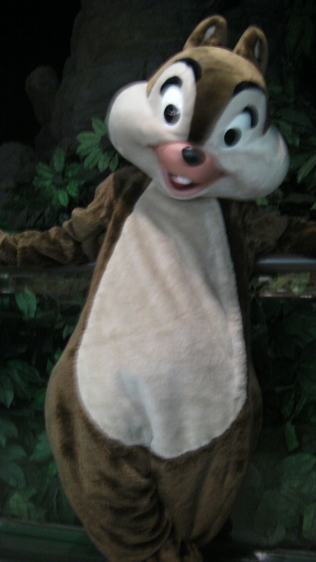 本日の夕食はＬＡＮＤ館内にあるガーデングリルレストラン。ディズニーの各キャラクターに会えるレストランです。（※量が半端なく多いのでファミリーで行くことをおすすめします。）