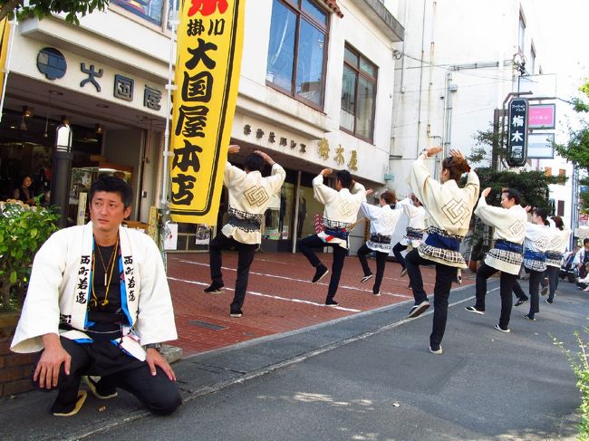 女性陣の「かっぽれ」粋に決まっていた。<br />この地区は若い奥さんが多いとか。