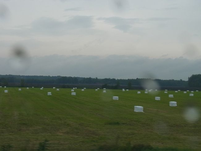 名残り惜しいケベックシティを後にして、モントリオールへ向かいます。<br />牧草のロールの置き方が瓶の蓋みたいです。<br />安定感あっていいかも。でも北海道生まれとしては、お願い、<br />縦に置いてね、と言いたくなります。