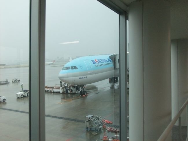 外はあいにくの雨です・・・