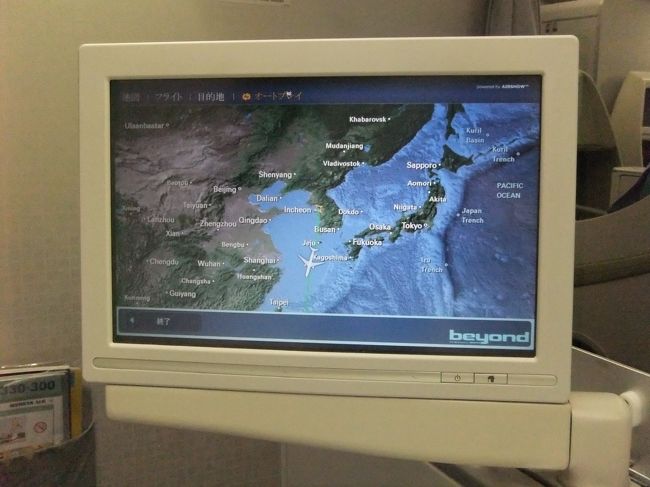 コーヒーを飲んで寝てたら、到着です。<br /><br />入国もすんなり終わり、外へ出てタクシーを・・・と探していると、私の名前のカードをもった人が！！<br /><br />レイトチェックインの連絡していたから、ちゃんと空港まで迎えにきてくれていた！