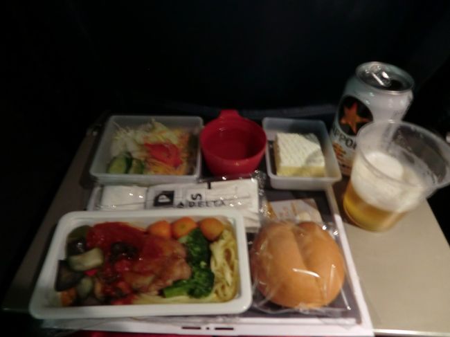 機内食はこんな感じ・・・・。<br /><br />もちろん、<br />ビールも頂きました！！！！<br /><br /><br />台湾桃園国際空港から<br />現地係員とともにバスでホテルまで移動　<br />早くホテルに行きたいのに・・・・<br />空港で待たされました(；一_一)<br /><br />バスの中で明日の市内観光について説明があり<br />朝の７：４０に出発とのコト・・・<br /><br /><br />