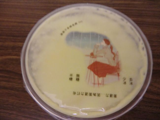 なので、<br /><br />私一人で<br />雙城街夜市＆ファミマでぶ〜らぶ〜ら・・・・！！！<br /><br />夜遅かったので屋台も少なかったデス。<br />マンゴーミルクを買って帰りました。。。。<br /><br />マンゴーミルクは<br />とってもＧｏｏｄでした（＾−＾）<br /><br />