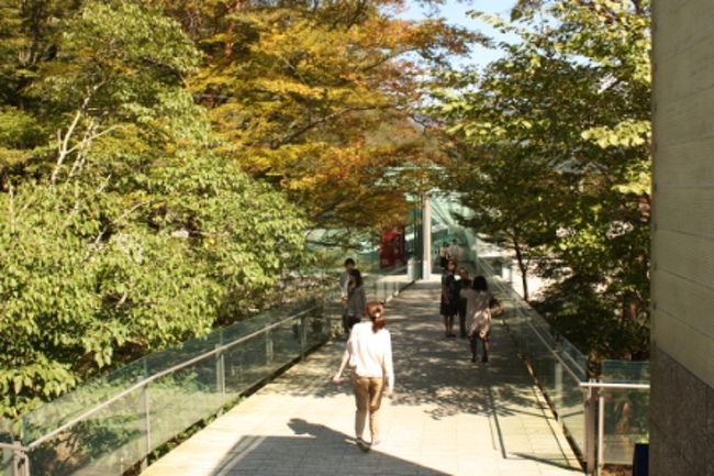 朝まで曇っていた天気が嘘みたいにキラキラとした快晴になった。<br /><br />入館料は1,500円。フリーパスで200円割引。箱根湯本駅で配布されている割引券だと100円しか割引にならないから、パスの方がお得♪