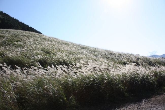 なんてキラキラしてるんだろぉう!!!<br />きっと、1時を回っていたし、時間帯も良かったんだろうなぁ。<br /><br />少し散策したり写真を撮ったりしてから、バスで少し戻る。