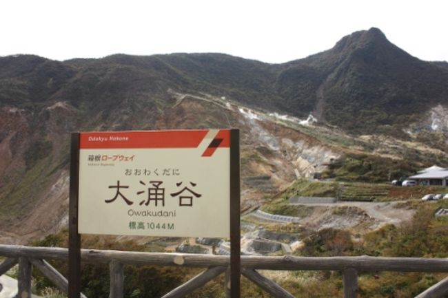 大涌谷で一旦下車。<br />黒い温泉卵を食べるつもりが、ついさっき朝ご飯をたらふく食べていたためかお腹に入る気配がなくて断念。<br /><br />ここの標高は1000Mを超えているそうな。<br />どうりで風が冷たいっ!