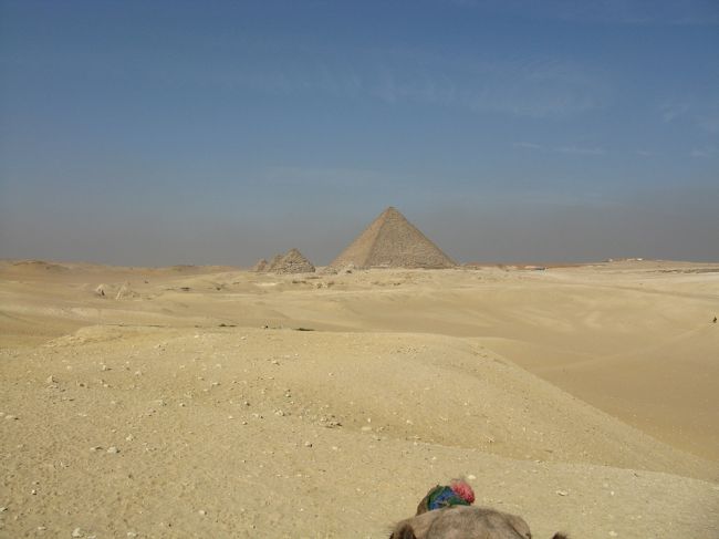 あまり気がのらなかったんですが、らくだ（一応公認の）に乗ってます。それにしても、暗黙の了解のすみわけなのか。正規のらくだ引きはピラミッドの近くに来ると、あとは降りて自分で見て来いというのです。何かいやな予感がしたのでした。