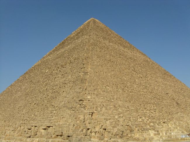 とにかく大きいです。