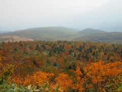 天気がよければ岩手山も一望できるそうですが…。
霞のかかった先にわずかに見える程度でした。