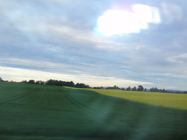 薄暗いのもほんのつかの間。すぐに明るくなります。