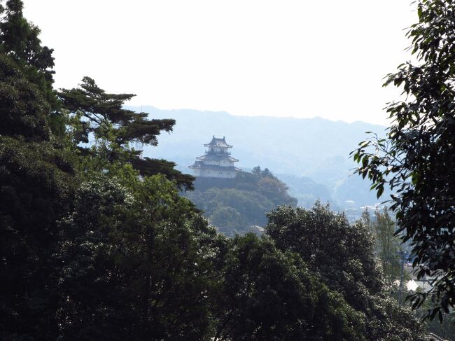 遠くに掛川城が見える。<br /><br />最後まで読んで下さって有難う御座います。<br />踊りの名前はアナウンスと地元の人に聞いたものですが、皆さんあやふやで間違っているかも知れません。<br />その時はご容赦を (^_-)<br /><br />来年は掛川大祭、また来たい (o^｡^o)<br /><br />天下晴れ ♪(^o^) -☆ 掛川大祭<br />https://4travel.jp/travelogue/10718113<br />