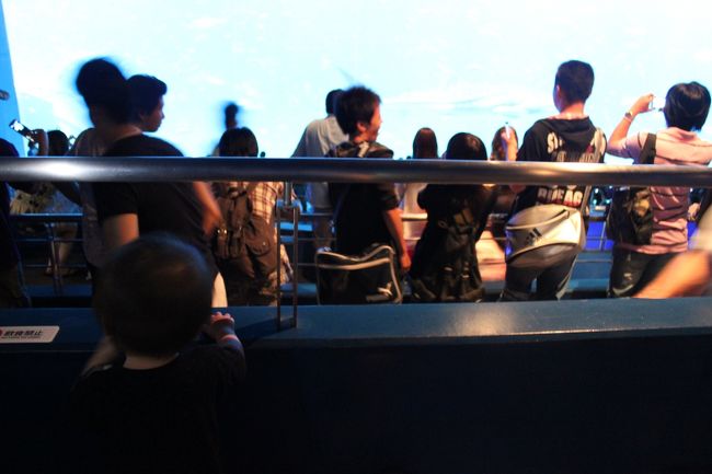 観覧席風のところでしばし待機。そして息子はここぞとばかりに、つかまり立ちで動きまくります。