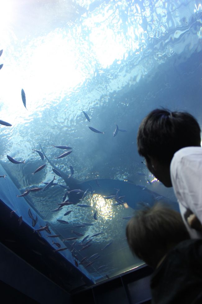 移動して、下から見えるスペースへ。不思議な世界です。