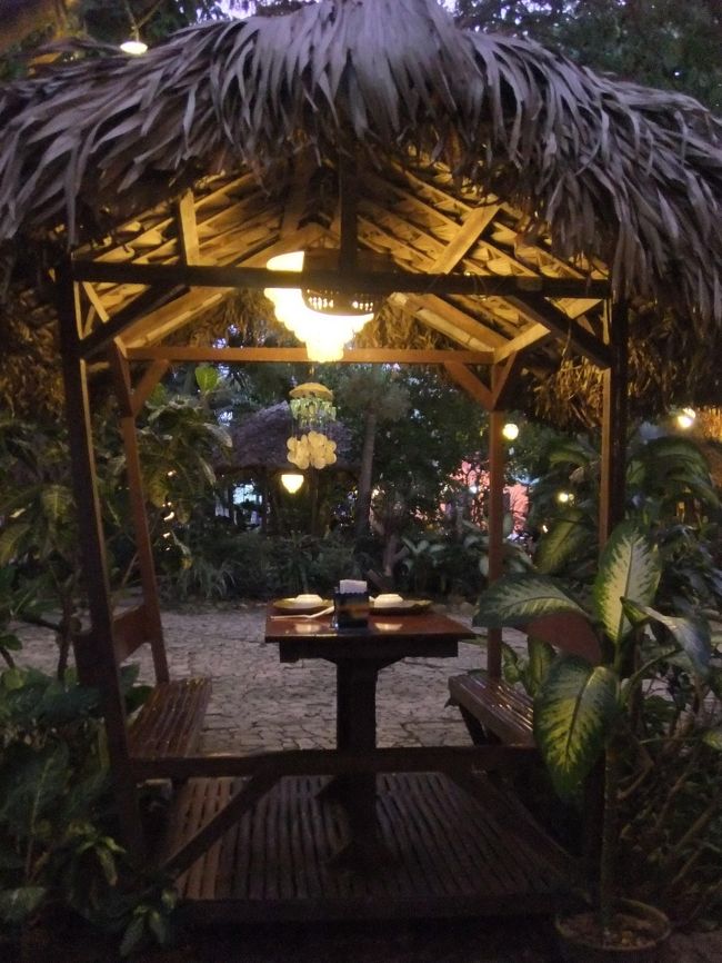 彼はとにかく優しくて、ジェントルマンだった。<br />日本で働いたことがあるらしく、ひらがなが読めるらしい。船乗りで、今は休暇中だとか。来月からイタリア人と航海に出るんだって。すごいなぁ。。<br /><br />マクタン島をドライブしていたら、有名なマリバゴ・グリルの前を通り過ぎ、「あれマリバゴ・グリルだね！」と言うと、わざわざUターンして行ってくれた。笑<br /><br />南国の雰囲気がすごくよかった。<br />ここで、今まで出会わなかった日本人が２組見かけた。