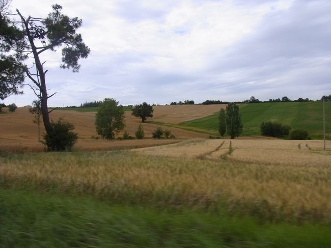 一変して、落ち着いた雰囲気に。