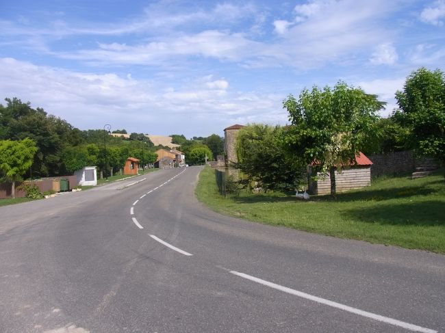 Ｄ君、大きな道路に出ちゃったよ〜？