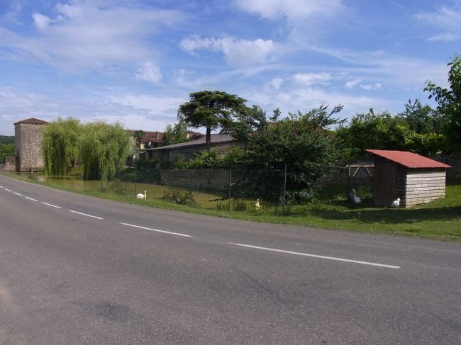 そのまま歩けばいいらしい。