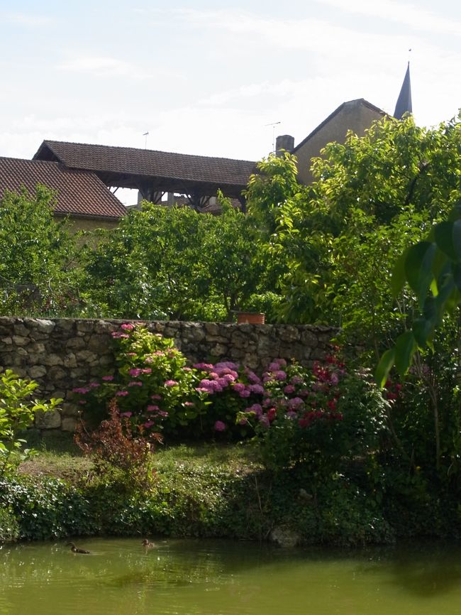 とっても美しいんだもの。