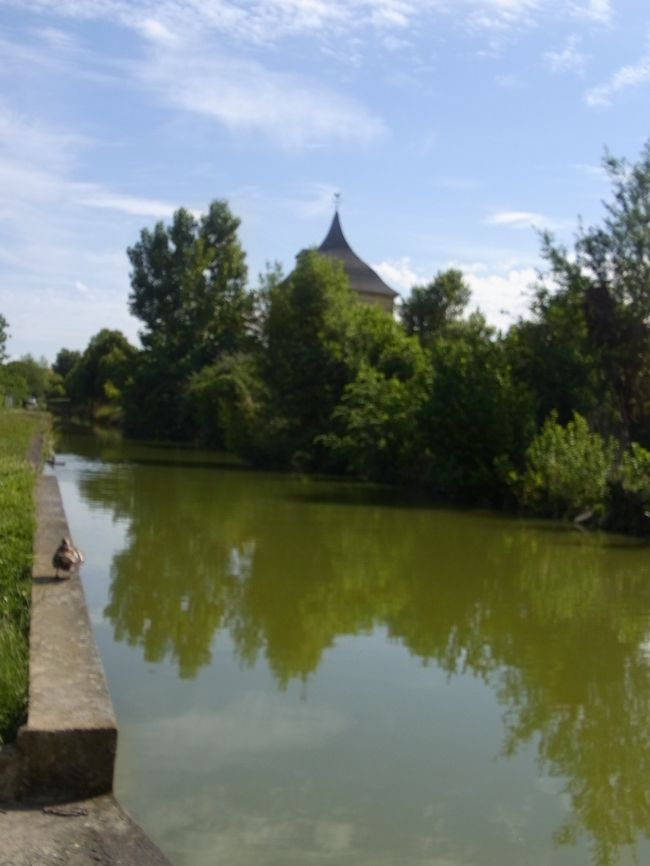 川で釣りをしている人を見かけた。（ここには写っていない）