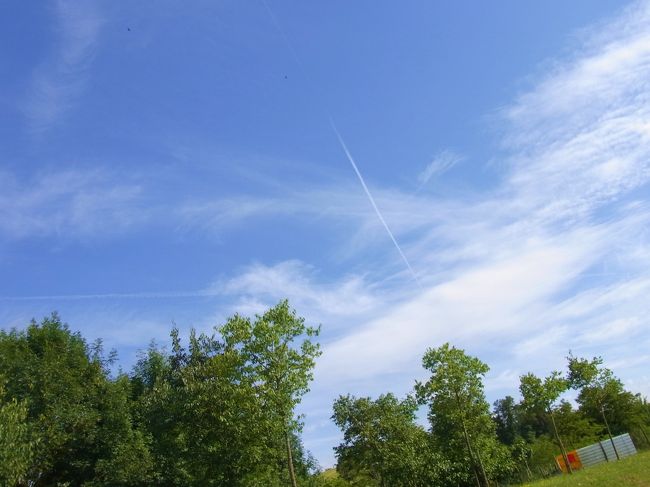 いい天気だし、空を見上げて昼寝したいな〜。<br /><br />さっき公園でしただろう・・・。