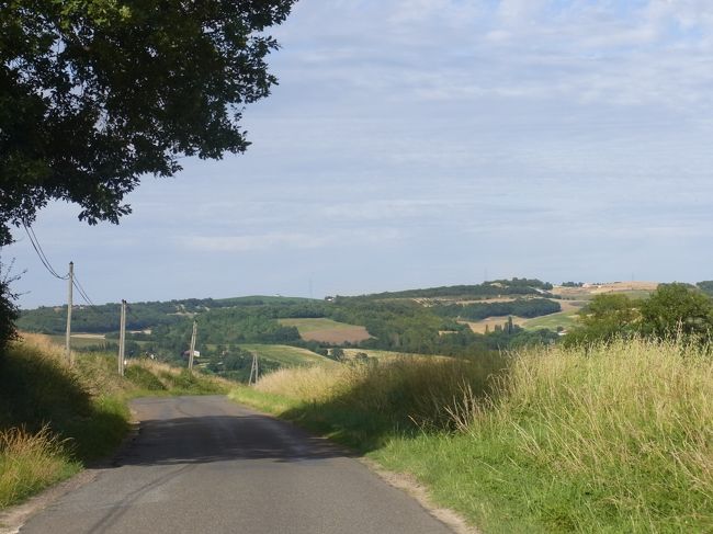 また走ります〜♪