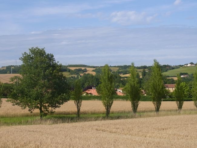ちょっと視点をずらすと・・・微妙？