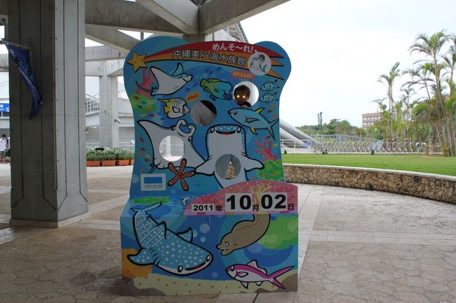 食後は美ら海水族館へ！この道中は、ランチ前に昼寝も済んで、まだまだ元気いっぱいの息子がチャイルドシートを嫌がり、「出せ〜」とぐずって、それはもう大変だった…。