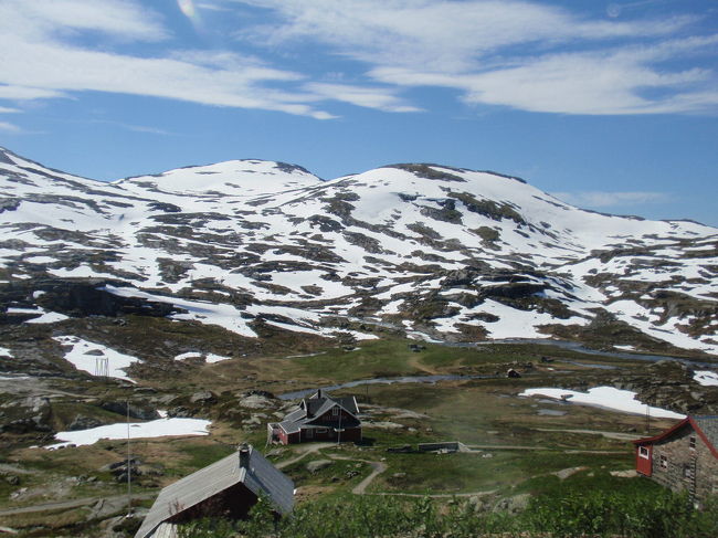 緑が見えてきました。だいぶ下ったようです。