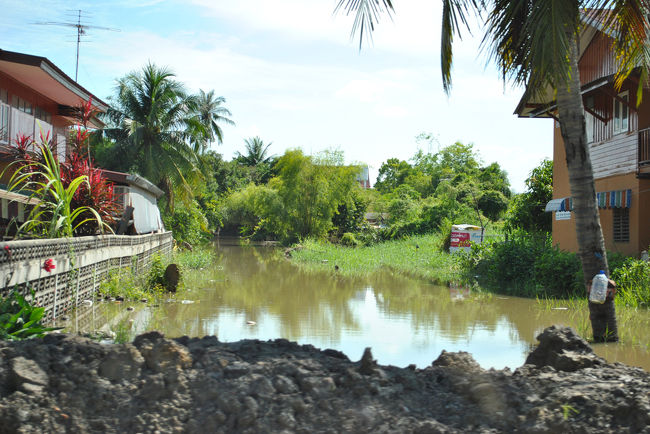 タイの洪水でアユタヤの住宅地が浸水していました