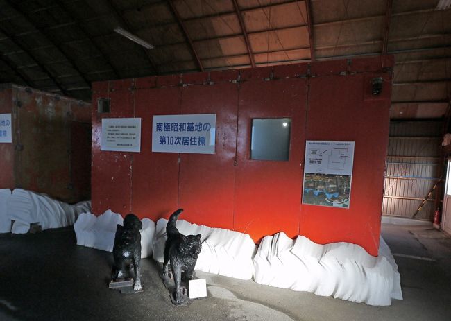 あの有名な「タロ」「ジロ」の展示．南極物語をおもいだす．そのハリウッドリメーク版も飛行機の中で見たな．