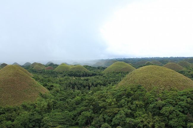 今の時期は緑なヒルズ。（何故か少し茶色いのもがいた） <br />るるぶの言葉を借用すると摩訶不思議な光景に息をのんできた。 <br />確かに不思議な感じだった。 <br /><br />