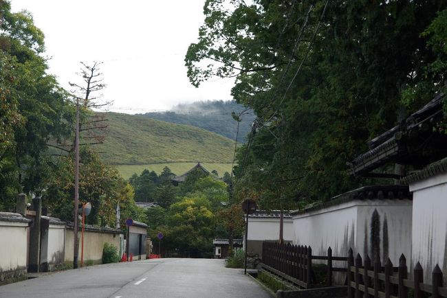 東大寺へはいつもこの道を選びます。。右手の奈良県知事公舎の城塀の先に見える緑は若草山。。