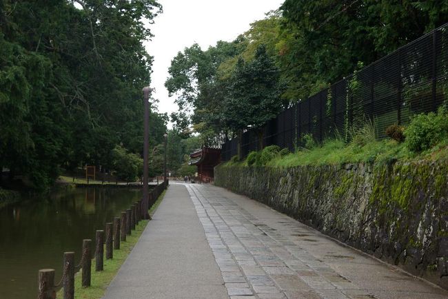 大仏殿の東側回廊の横を通って、南側正面に向かいます。