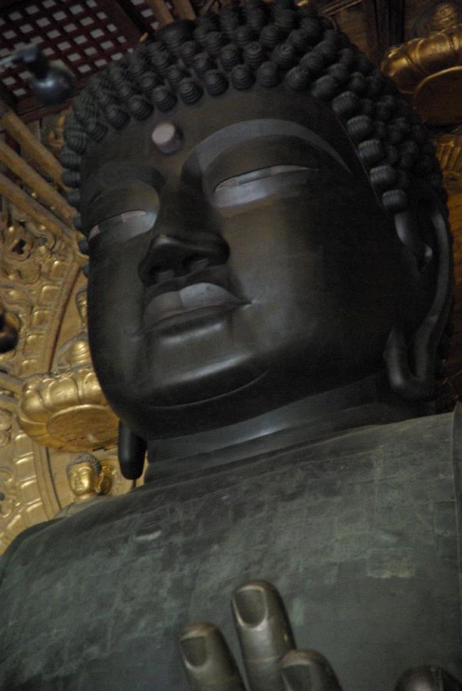 ミュージアム開館時間が近づいたので大仏様とはお別れ。。