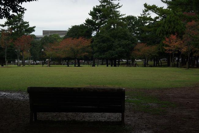 王子なりの推論。この仏頭はブロンズ製、つまり金属。寺は何度も大火で炎上している。。つまり火災の熱でブロンズ像の左側側面だけが変形してしまったのでは？　あくまで推定ですが。。。<br />