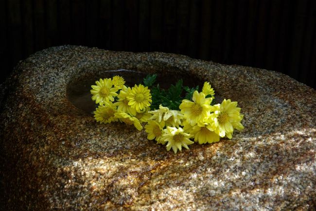 猿沢池の横を過ぎて、奈良町へ。。