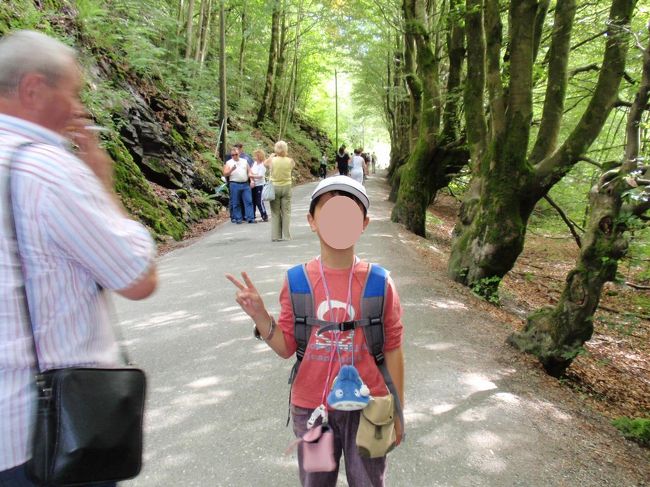 ホテルのフロントで行き方を聞き、駅の裏手のバスターミナルからバスを２本乗り継ぎました。が。。。「トロルハウゲン」の標識のとおりに歩けど歩けどなかなか着きませんっ！！しかも人通りもほとんどありませんっ！ずっと上り坂です。ものすごく暑い！途中「この道でいいんだよね！？」と話しながら歩くこと数十分。山道をずいぶん歩いてようやく人通りが現れました(^ ^;;)