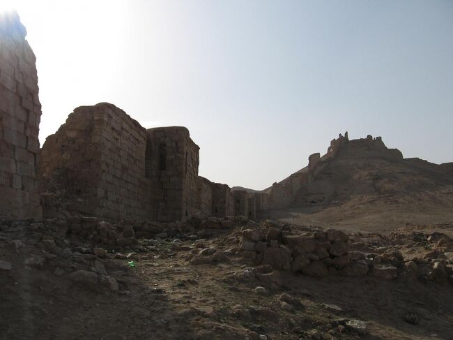 若者フラット君に釣られて、斜面をよじ登ります。<br />この辺りは傾斜も緩くて余裕なんですがね…