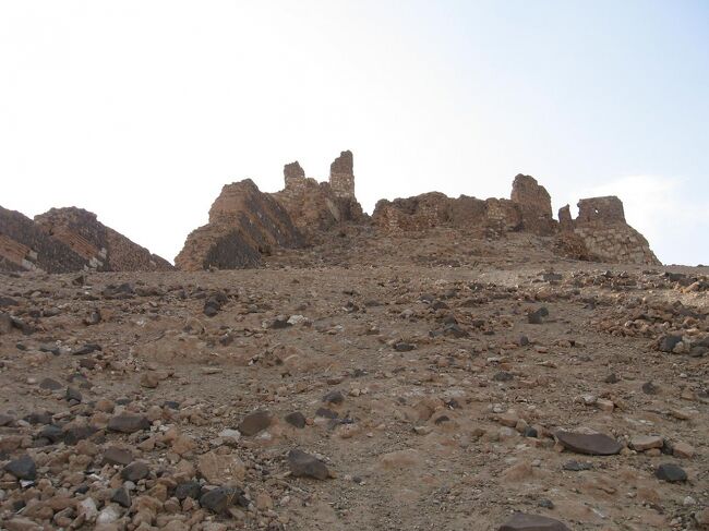 しかし･･･。<br /><br />カラカラに乾いた砂地に瓦礫や岩がゴロゴロ混じった斜面は、とんでもなく滑りまくります。<br /><br />半泣きで立ち往生（フラット君はとっくに天辺へ）。<br />登るのも怖けりゃ降りるのも無理･･･<br />『進退窮まる』とはまさにこのことです。<br /><br />彼が上から「帰路は道があるから登って来い」と呼びます。<br /><br /><br /><br />…道あるんかいっ!!<br /><br /><br />カメラを片付けて、両手も使って死ぬ気で登りました。