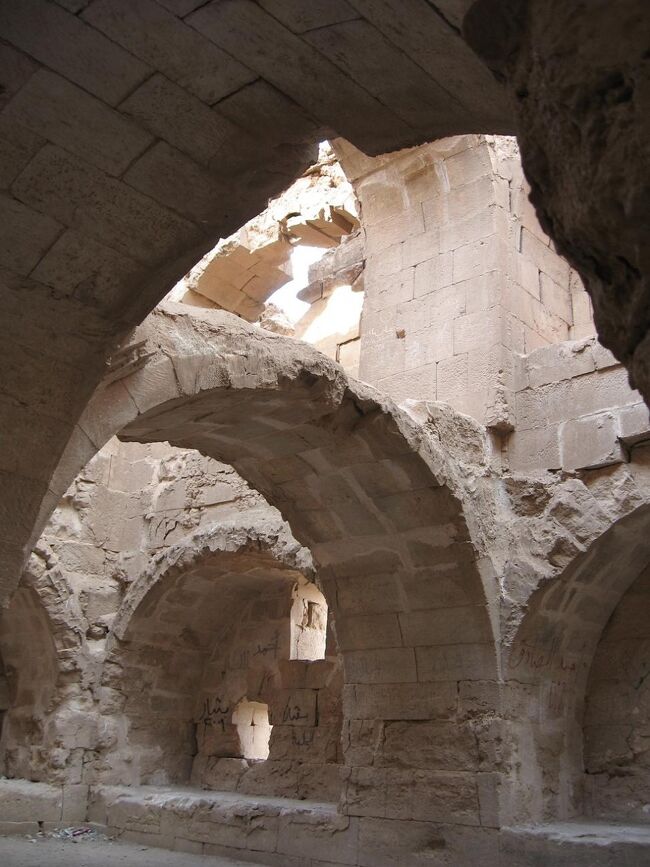 カメラの電池がいつ切れるかドキドキしながらも、撮らずにはいられません。