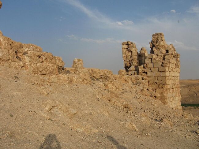 運転手さんも初めて来られたようで、ちょっとテンションが上っていました。