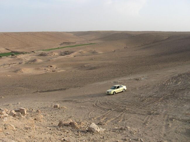 ゼルビーエを後にして、デリゾールへと戻ります。<br /><br />運転手さんはとても良い人で、帰路の雑貨店でタバコを買うついでに、私たち三人にクッキーとファンタを奢って下さいました。<br />車内で乾杯してから頂きました。<br /><br />皆さんのお陰で、有意義で楽しい一日になりました。<br />感謝！